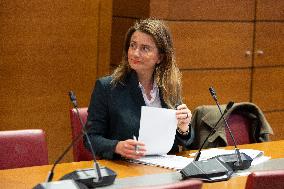 Hearing of Marine Tondelier at the National Assembly - Paris