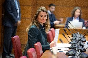 Hearing of Marine Tondelier at the National Assembly - Paris
