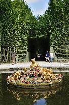 Illustration - Versailles