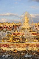 Illustration - Versailles