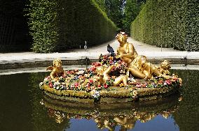 Illustration - Versailles