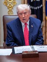 Trump Holds a Cabinet Meeting - Washington, DC