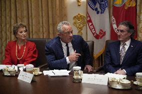 Trump Holds a Cabinet Meeting - Washington, DC