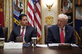 Trump Holds a Cabinet Meeting - Washington, DC