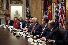 Trump Holds a Cabinet Meeting - Washington, DC