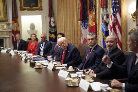 Trump Holds a Cabinet Meeting - Washington, DC