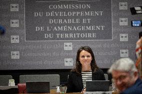 Committee hearing for E-commerce giant Shein at National Assembly - Paris AJ