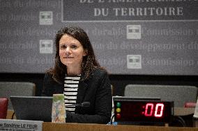 Committee hearing for E-commerce giant Shein at National Assembly - Paris AJ