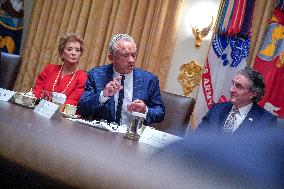 Trump Holds a Cabinet Meeting - Washington, DC