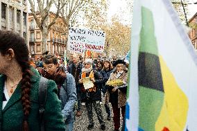 Demonstration Against Austerity - Toulouse