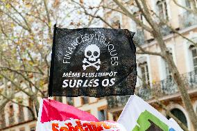 Demonstration Against Austerity - Toulouse