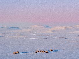 Mongolia Autonomous Region - China