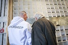 Opening of the discount eyeglasses shop Blacksheep - Paris AJ