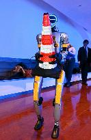 Launch Conference for HERO Humanoid Robot - Milan