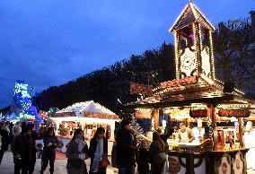 The Tuileries Christmas Markets - Paris
