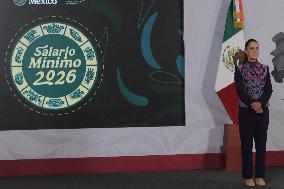 Mexican President Claudia Sheinbaum Holds Briefing Conference - Mexico