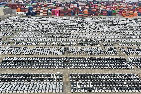 Volkswagen Pure EV Export