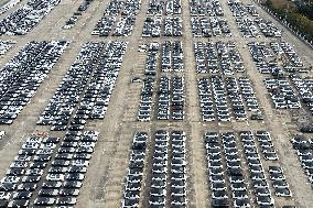 Volkswagen Pure EV Export