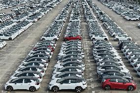 Volkswagen Pure EV Export