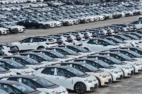 Volkswagen Pure EV Export