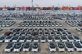 Volkswagen Pure EV Export