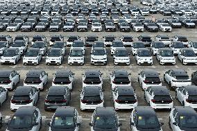 Volkswagen Pure EV Export