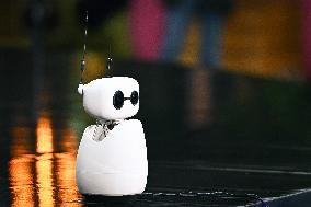 Europe Leading Conference Ai-Pulse in Paris FA