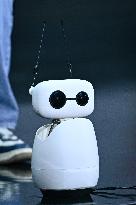 Europe Leading Conference Ai-Pulse in Paris FA