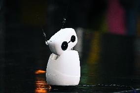 Europe Leading Conference Ai-Pulse in Paris FA