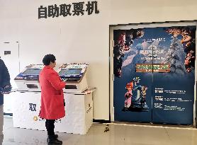 Movie Zootopia 2 Box Office