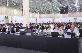 Trade curbs on all eels rejected