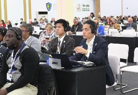 Trade curbs on all eels rejected