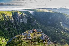 Illustration - Vosges