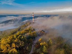 Illustration - Vosges