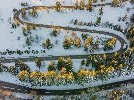 Illustration - Vosges