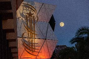 22nd Marrakech International Film Festival Day 6 nb