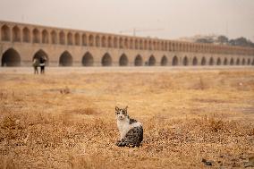 Zayanderud Riverbed Dries Up - Iran