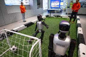 Humanoid Robot Innovation Center - China