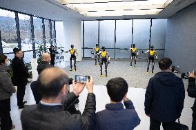Humanoid Robot Innovation Center - China