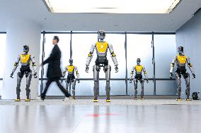 Humanoid Robot Innovation Center - China