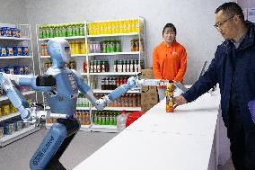 Humanoid Robot Innovation Center - China