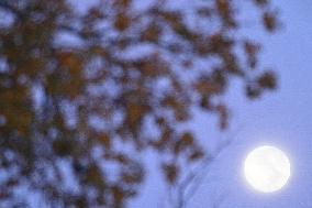 Supermoon Over Normandy