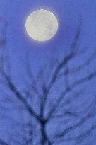 Supermoon Over Normandy