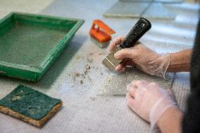 Serge Papin visit the Ateliers Duchemin - Paris