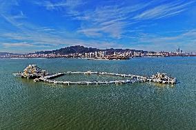 Genghai No.1 Ocean Ranch Complex Platform