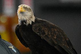 Italian Cup - SS Lazio v AC Milan