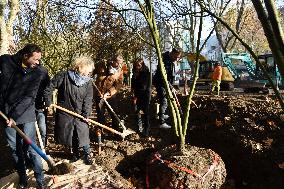 The New Season Of Tree Planting - Paris
