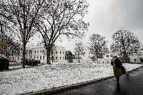 Snow Fall DC