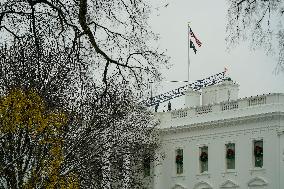 White House Ballroom Construction