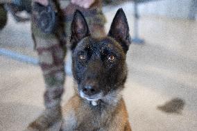 Immersion day on the implementation of National Service within the Air and Space Force - Orange